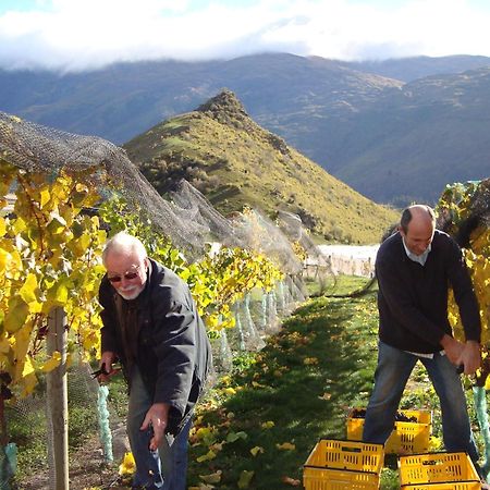 Mt Rosa Lodge Boutique Vineyard Accommodation Wanaka Exterior photo