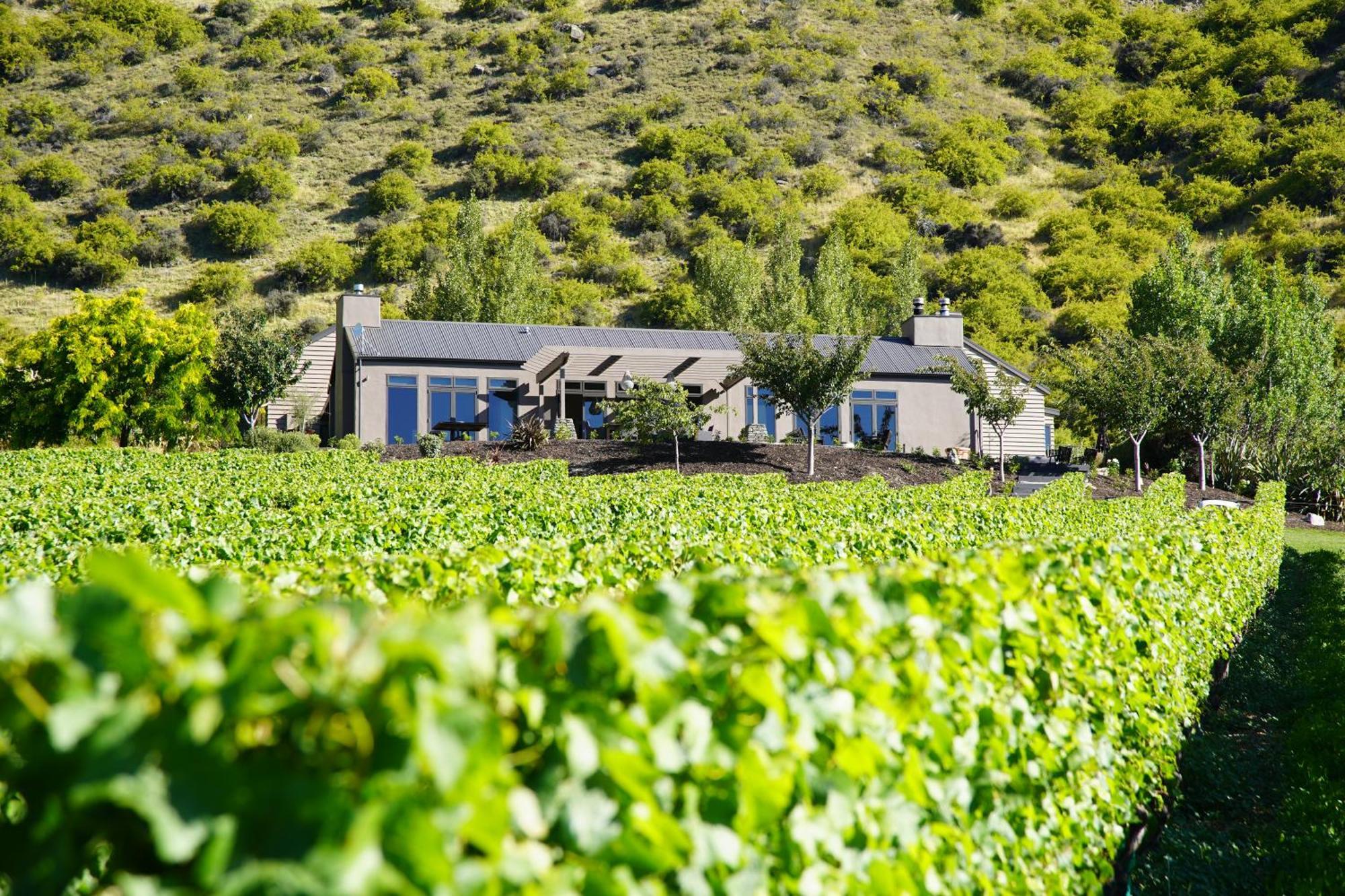 Mt Rosa Lodge Boutique Vineyard Accommodation Wanaka Exterior photo