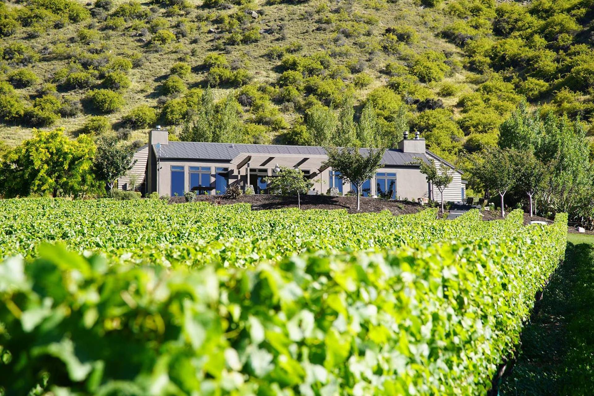 Mt Rosa Lodge Boutique Vineyard Accommodation Wanaka Exterior photo
