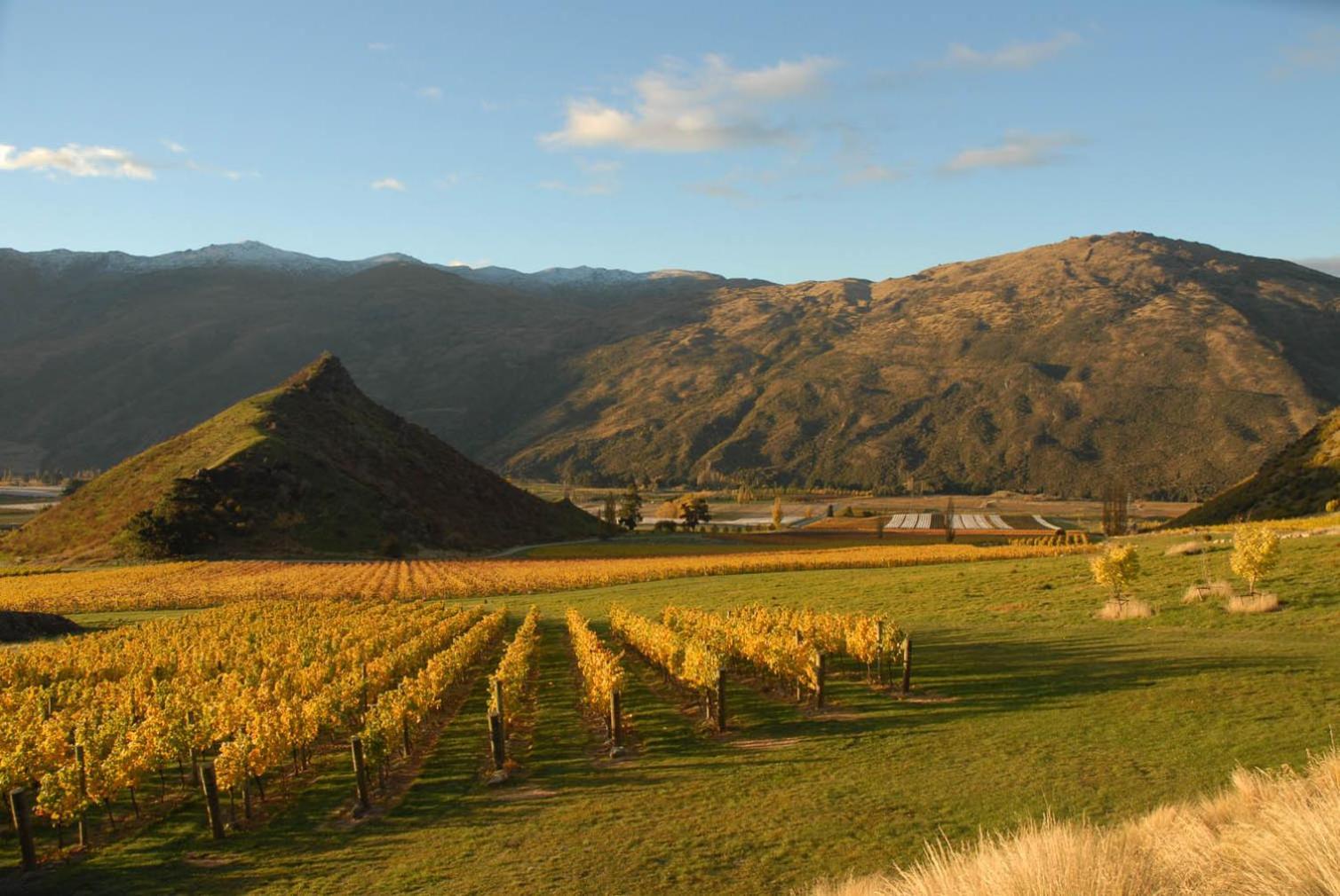 Mt Rosa Lodge Boutique Vineyard Accommodation Wanaka Exterior photo