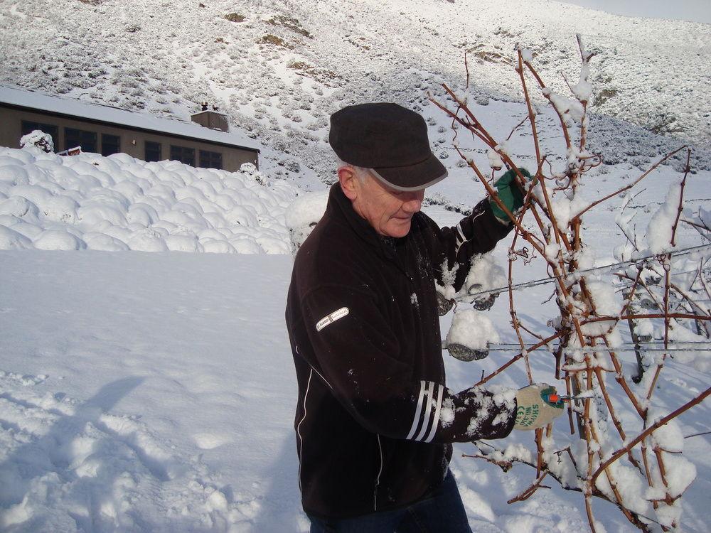 Mt Rosa Lodge Boutique Vineyard Accommodation Wanaka Exterior photo