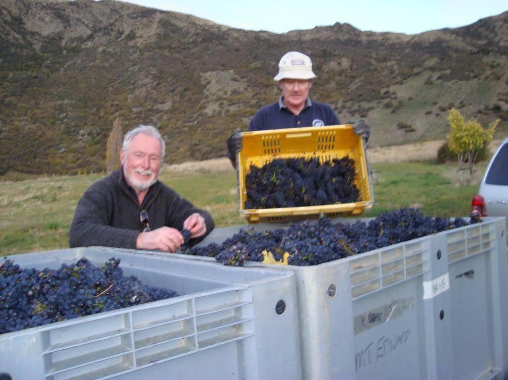 Mt Rosa Lodge Boutique Vineyard Accommodation Wanaka Exterior photo